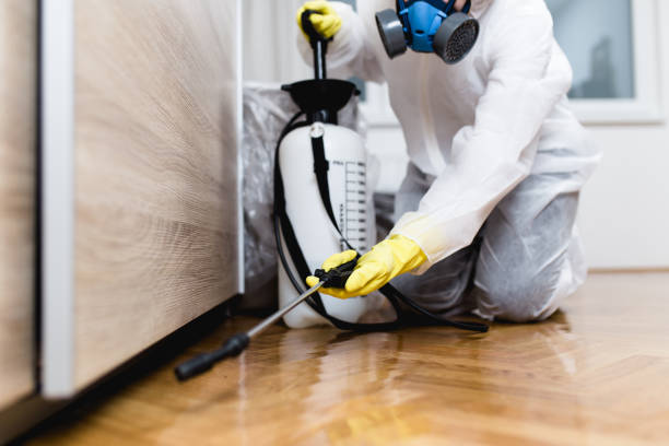  East Falmouth, MA Pest Control Pros