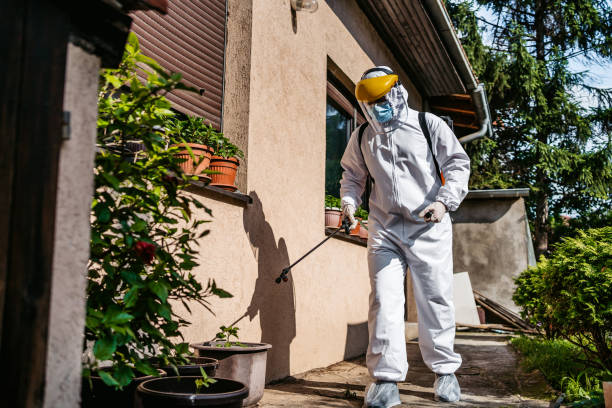 Best Termite Control Services  in East Falmouth, MA