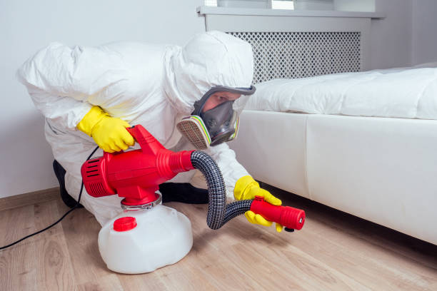 Professional Pest Control in East Falmouth, MA