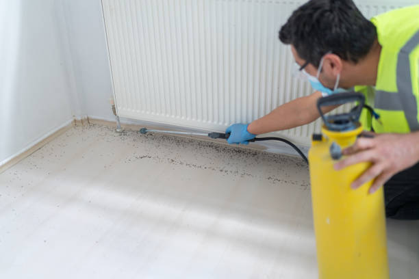 Best Best Pest Control Near Me  in East Falmouth, MA